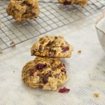 Oatmeal Banana Brookies with Chocolate and Cranberries