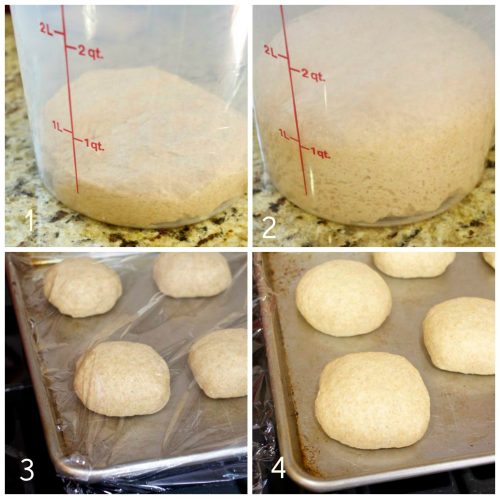 Process collage for honey whole wheat burger buns