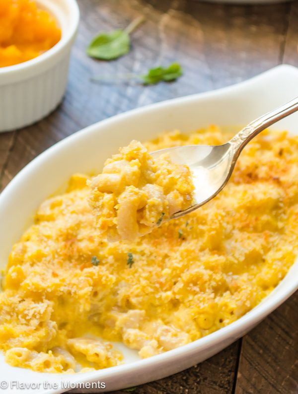 Fork full of butternut squash mac and cheese