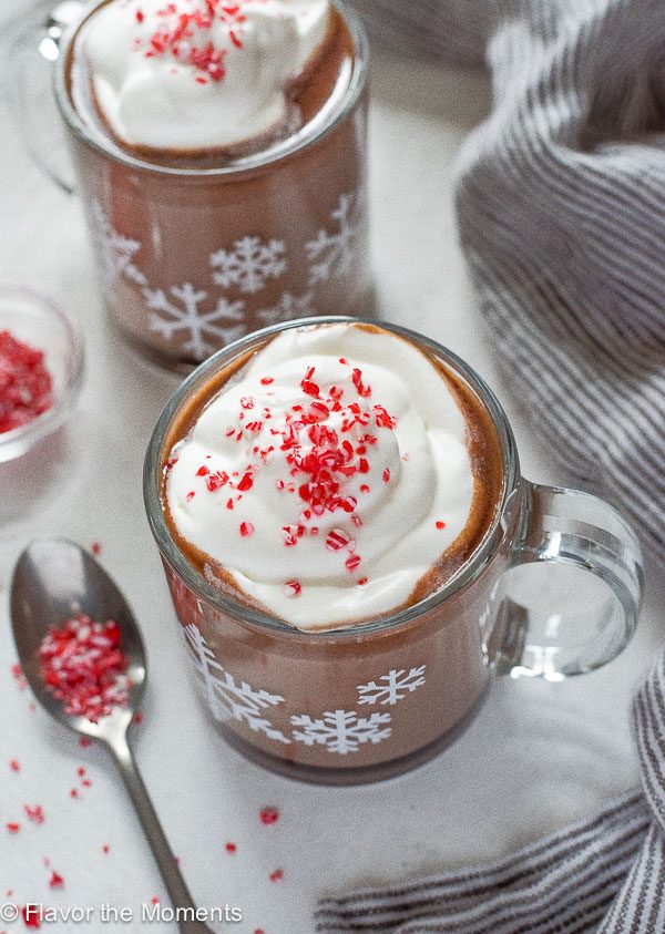 Mug of peppermint hot chocolate with whipped cream and peppermint on top