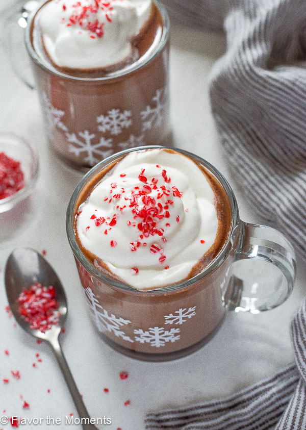 Crock pot hot chocolate in mug with whipped cream and peppermint on top