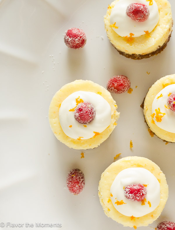 overhead shot of cranberry orange cheesecake with cranberries alongside