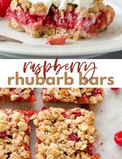Raspberry rhubarb bars long collage pin