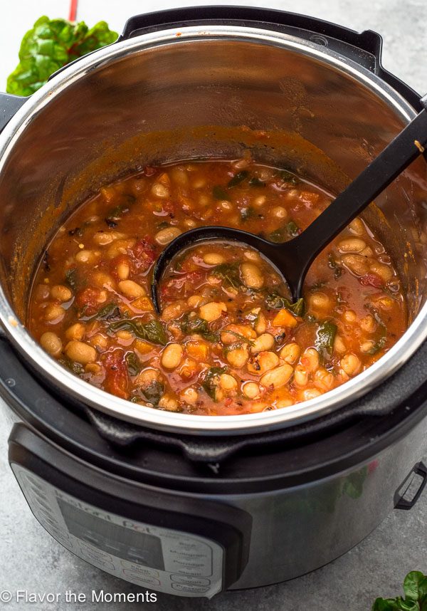 Ladle of white bean chard stew in instant pot