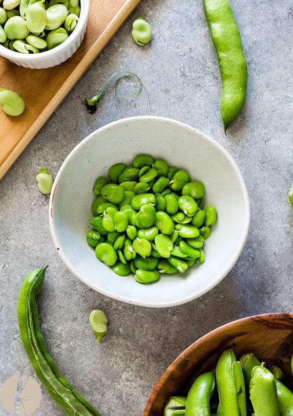 Overhead shot of cooked fava beans in a white bowl