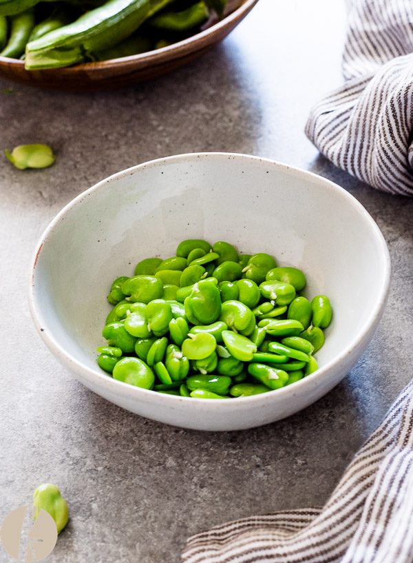 Close up of cooked fava beans in a white bowl