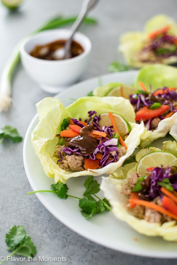 chicken lettuce wraps with hoisin sauce close-up