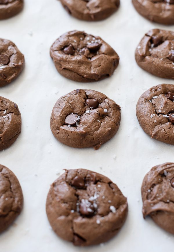 healthy chocolate peanut butter cookies on baking sheet fresh from the oven