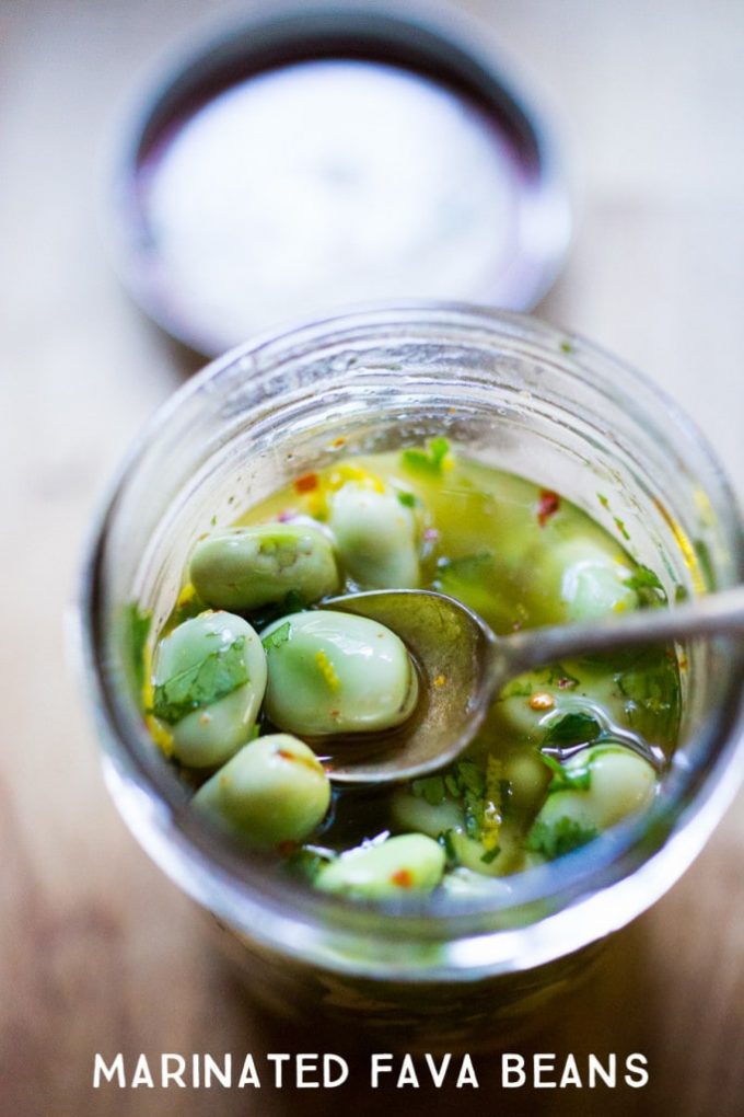 Spoon in a jar of marinated fava beans