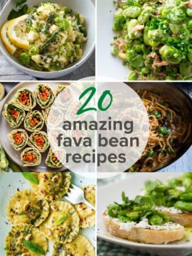 Fava bean recipes collage pin