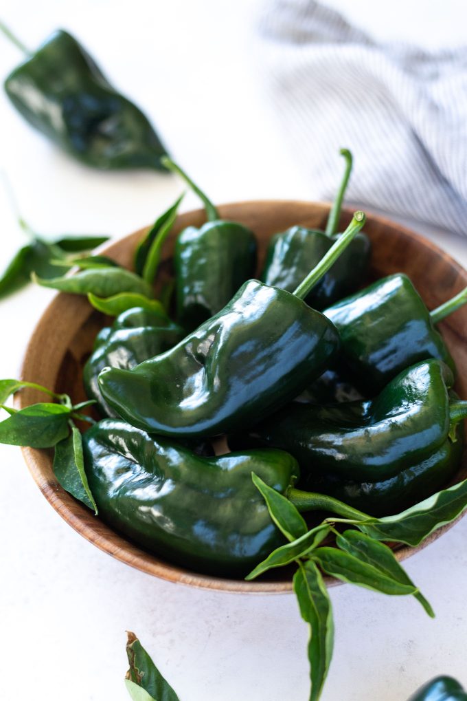 Poblano peppers in a bowl with green leaves attached