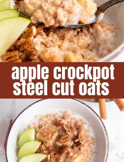 Crockpot steel cut oats long collage pin