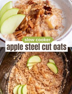 Apple Slow Cooker Steel Cut Oats short collage pin