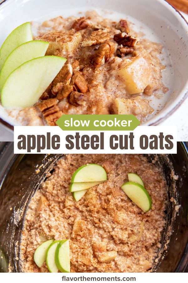 Apple Crockpot Steel Cut Oats Flavor the Moments