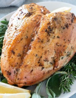 Roast turkey breast long pin