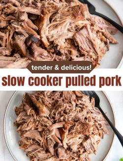 Slow cooker pulled pork recipe short collage pin