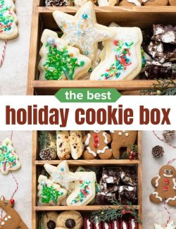 Christmas cookie box short collage pin