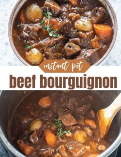 Instant pot beef bourguignon short collage pin