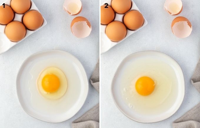 Comparison of liquid egg white in fresh and older eggs