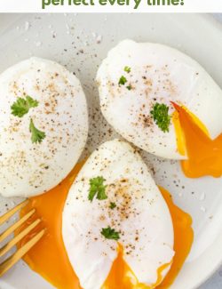 Poached Eggs long pin