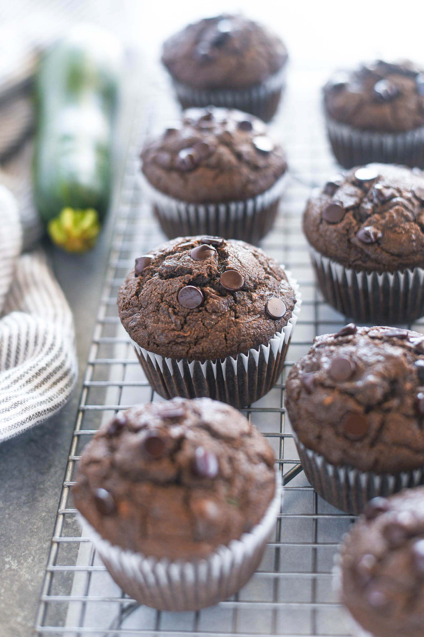 Chocolate Zucchini Muffins