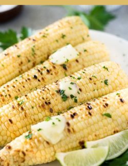 Grilled corn on the cob long pin