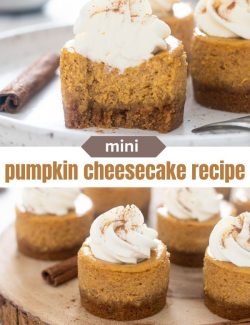 Mini pumpkin cheesecake recipe short collage pin