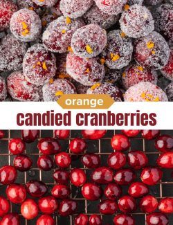 Candied cranberries short collage pin