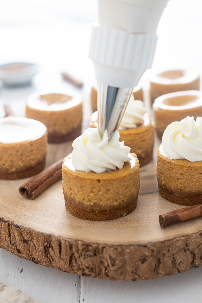 Pumpkin cheesecake with whipped cream piped on top