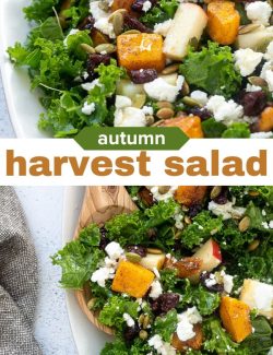 Autumn Harvest Salad short collage pin