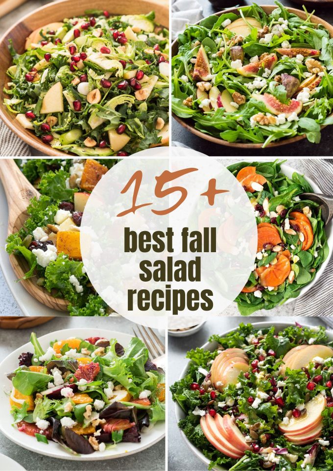 Best fall salad recipes