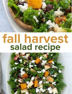 Fall harvest salad recipe long collage pin