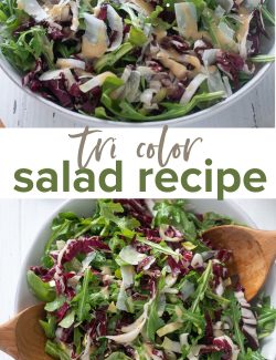 Tri color salad recipe long collage pin