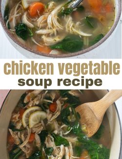 Chicken vegetable Soup recipe long pin