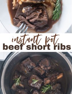 Instant Pot short ribs long collage pins