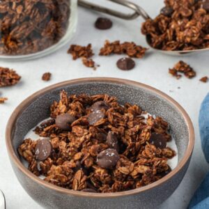 Chocolate granola in a bowl with milk