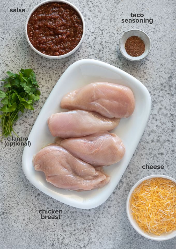 salsa chicken recipe ingredients