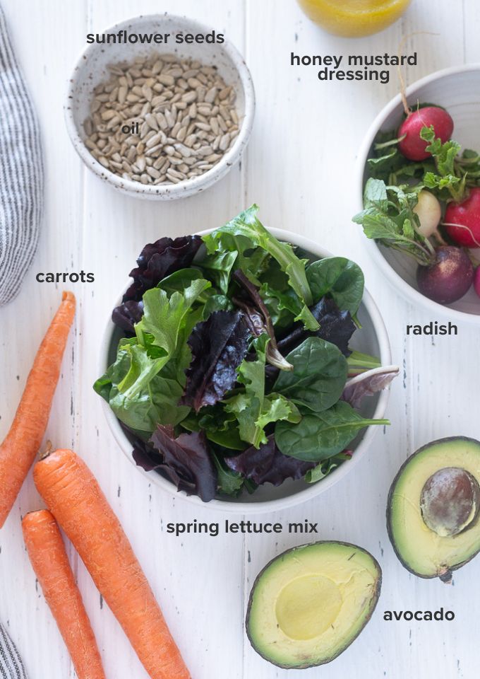 Spring lettuce salad ingredients