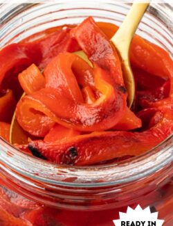 Roasted red peppers long pin