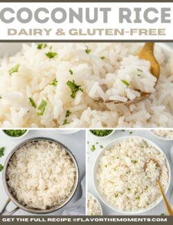 Coconut rice dairy and gluten-free short collage pin