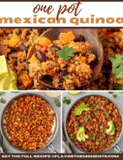 One pot Mexican quinoa short collage pin