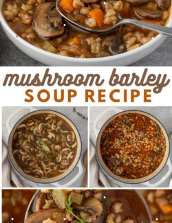 Mushroom barley soup recipe long collage pin