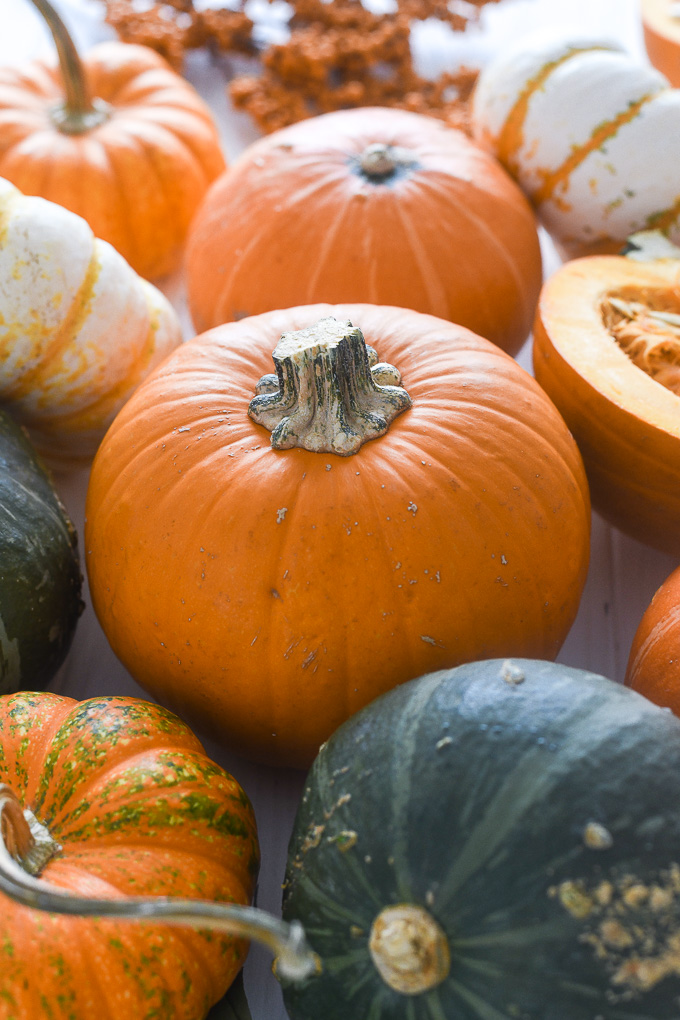 Varieties of pumpkin for cooking and baking
