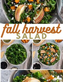 fall harvest salad long collage pin