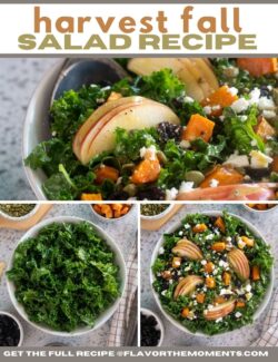 Harvest fall salad recipe