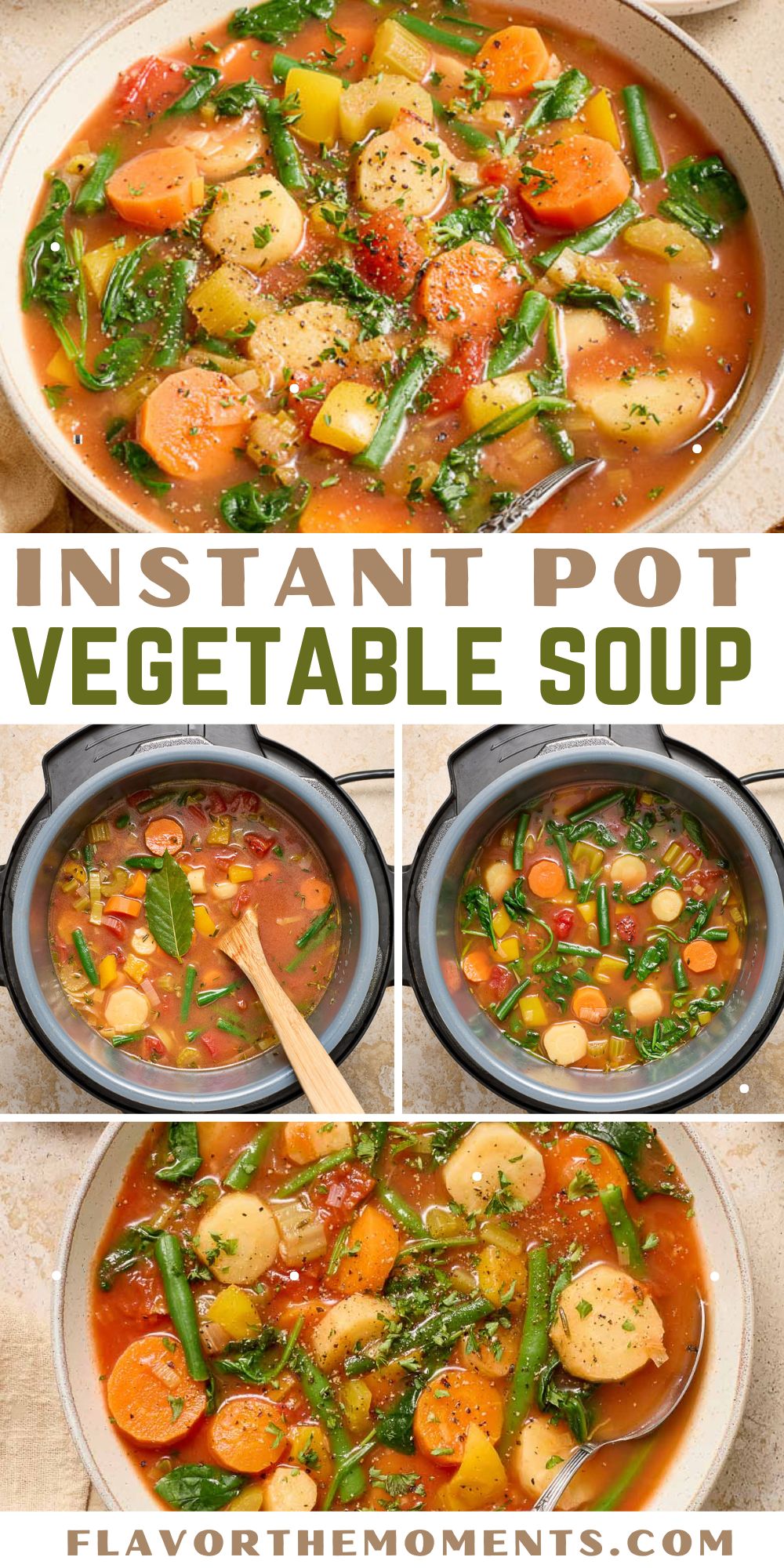 Instant Pot Vegetable Soup - Quick and Easy!