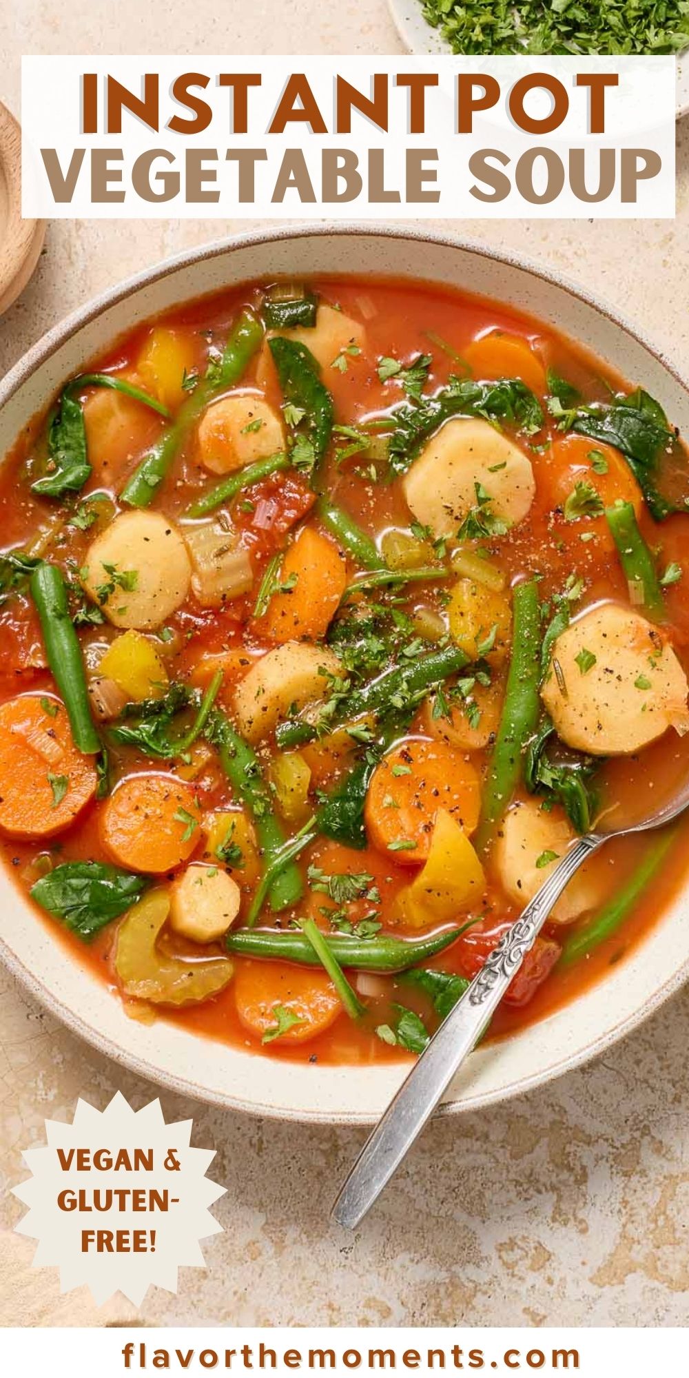 Instant Pot Vegetable Soup - Quick and Easy!