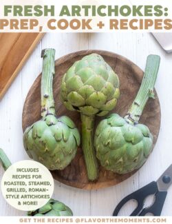 Fresh artichokes guide short pin.