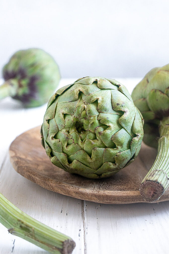 Fresh globe artichoke close up showing tight green leaves.