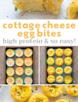 Cottage cheese egg bites collage pin.